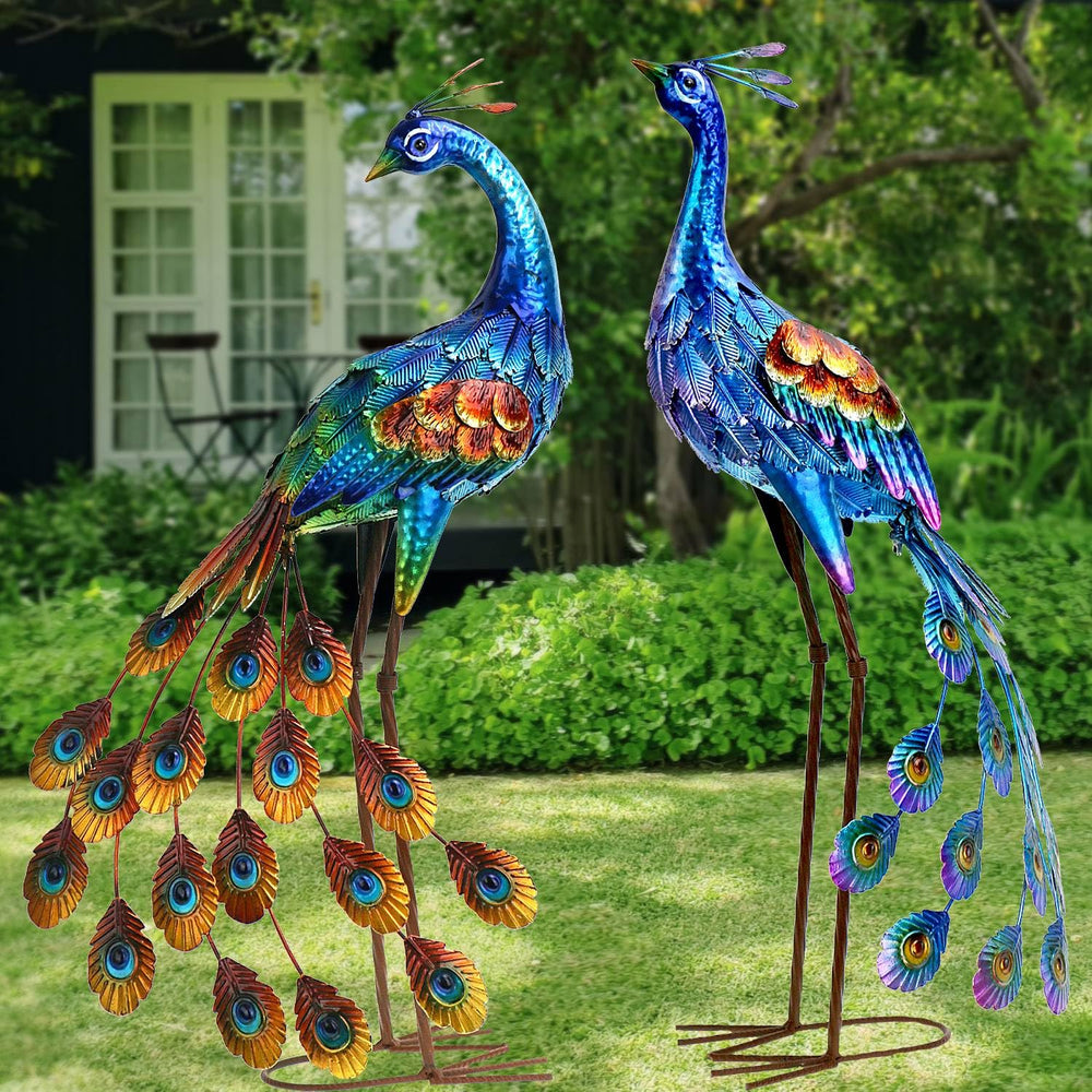 Kircust peacock beside chair showing size and proportion in yard