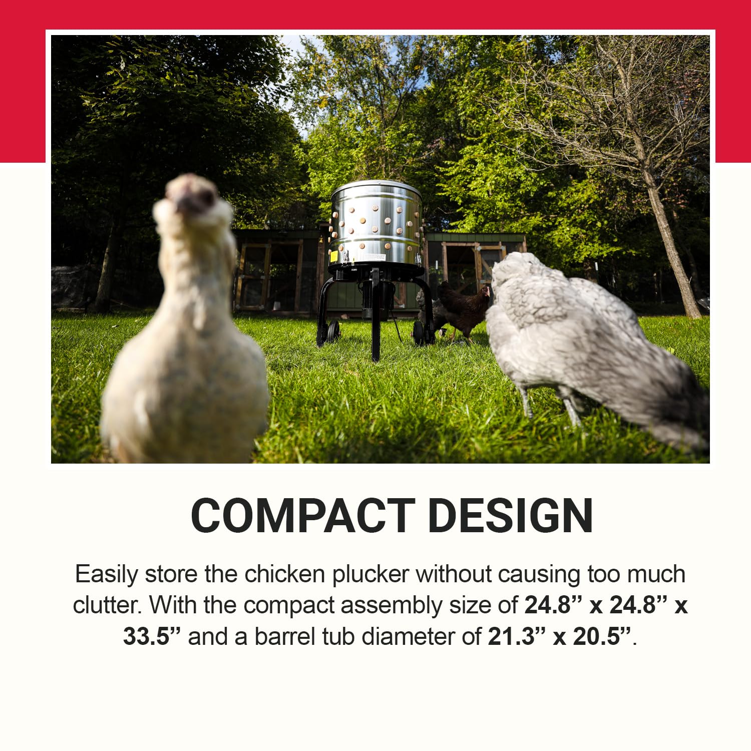 Kitchener size comparison next to a chicken showing capacity and scale advantages