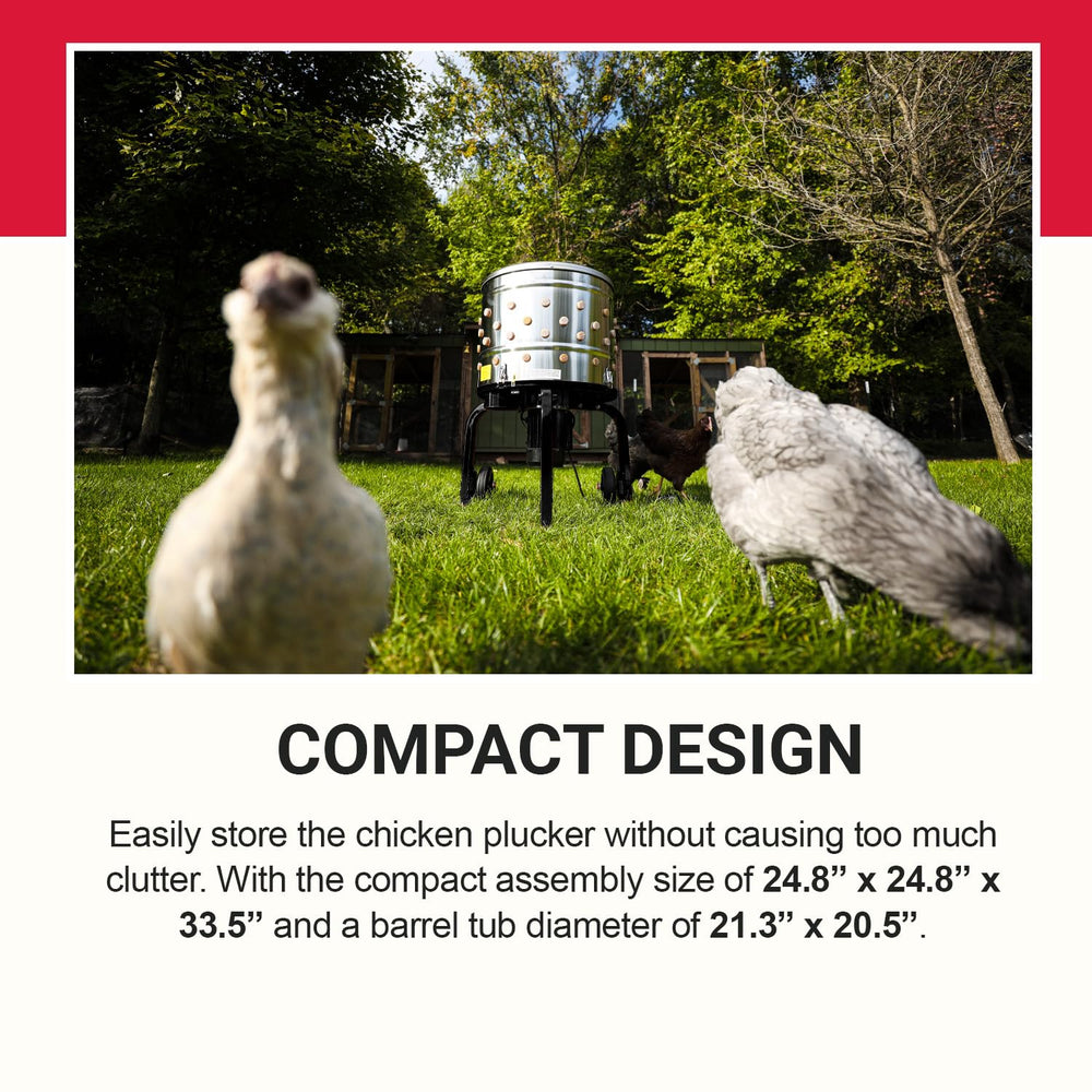 Kitchener size comparison next to a chicken showing capacity and scale advantages