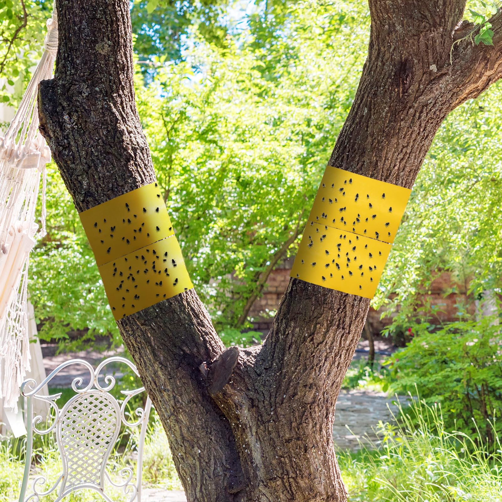 Kittmip in garden setting on fruit tree illustrating easy protection in landscape