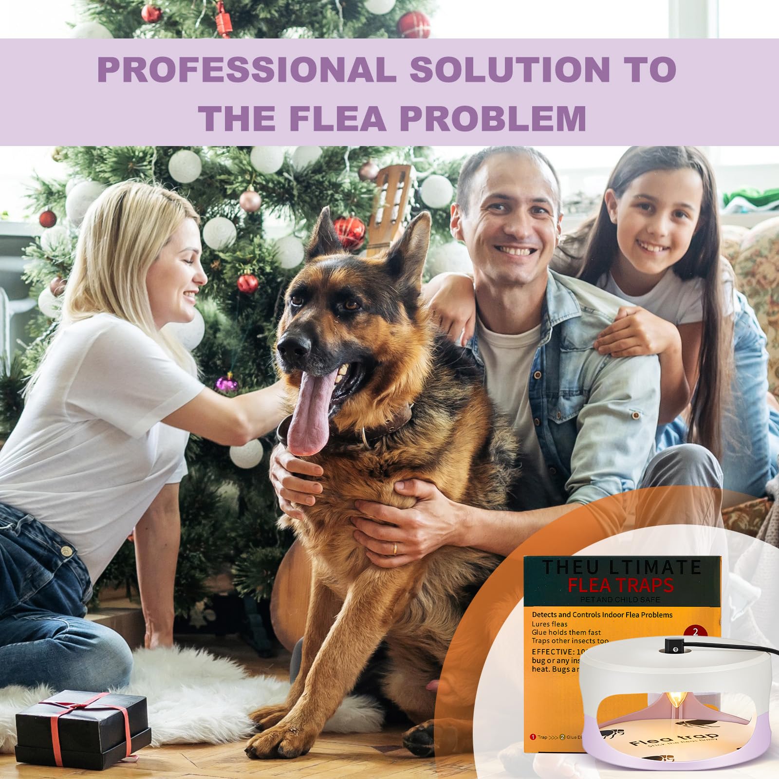 Kittmip trap placed beside pet bed, helps reduce fleas around pets