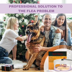Kittmip trap placed beside pet bed, helps reduce fleas around pets