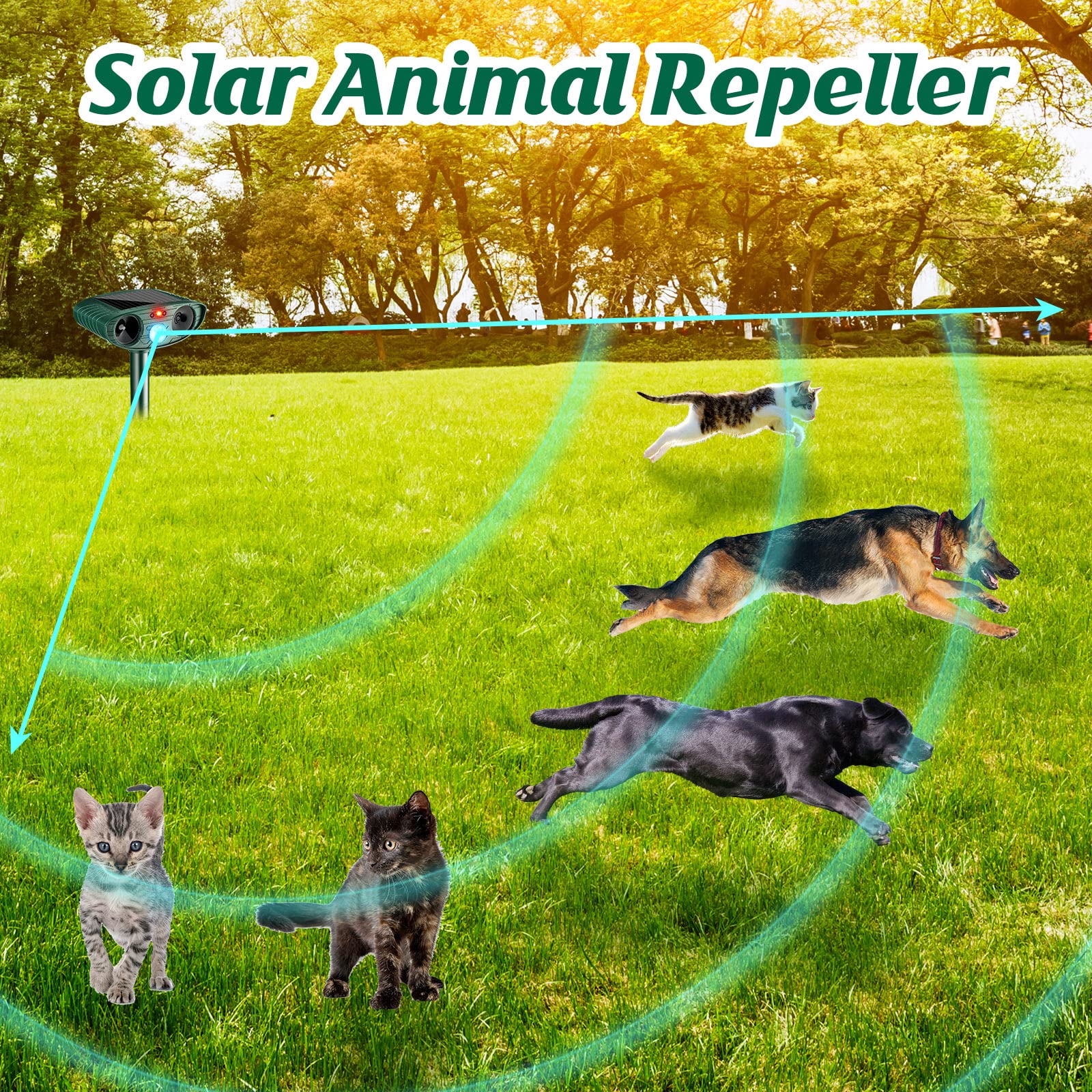 Kittmip LED flash demonstration showing visual deterrent to startle pests