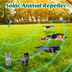 Kittmip LED flash demonstration showing visual deterrent to startle pests