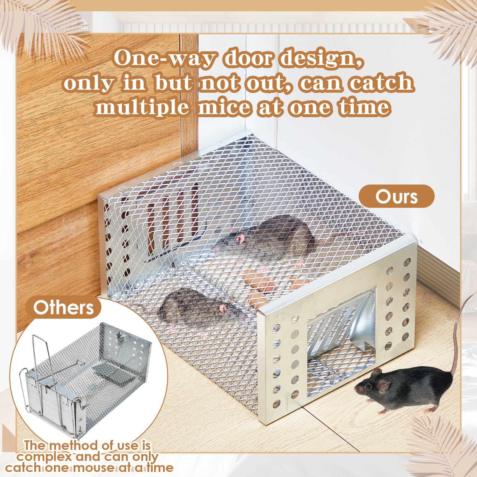Kittmip trap beside ruler showing compact size advantage