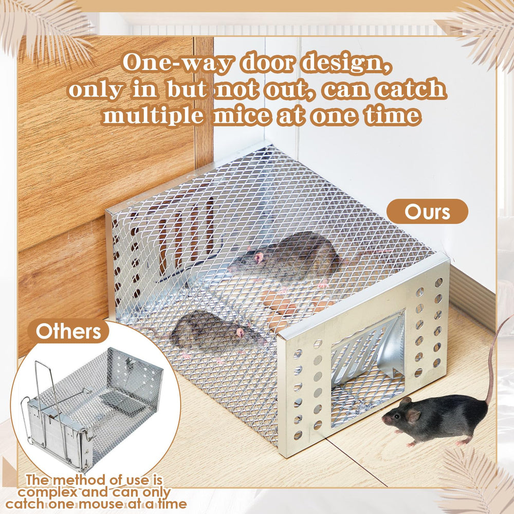 Kittmip trap beside ruler showing compact size advantage
