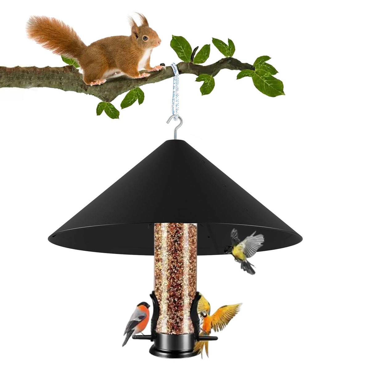 KITVONA front view of metal squirrel baffle showing durable dome protecting feeder