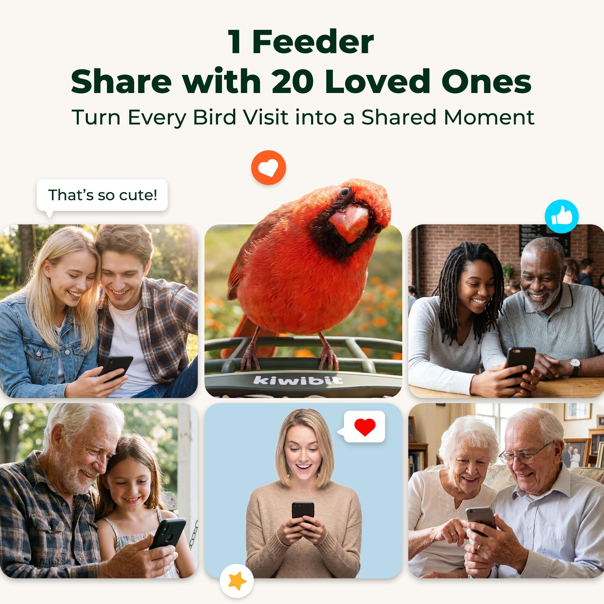 Kiwibit app live feed on phone showing remote viewing and alerts benefit