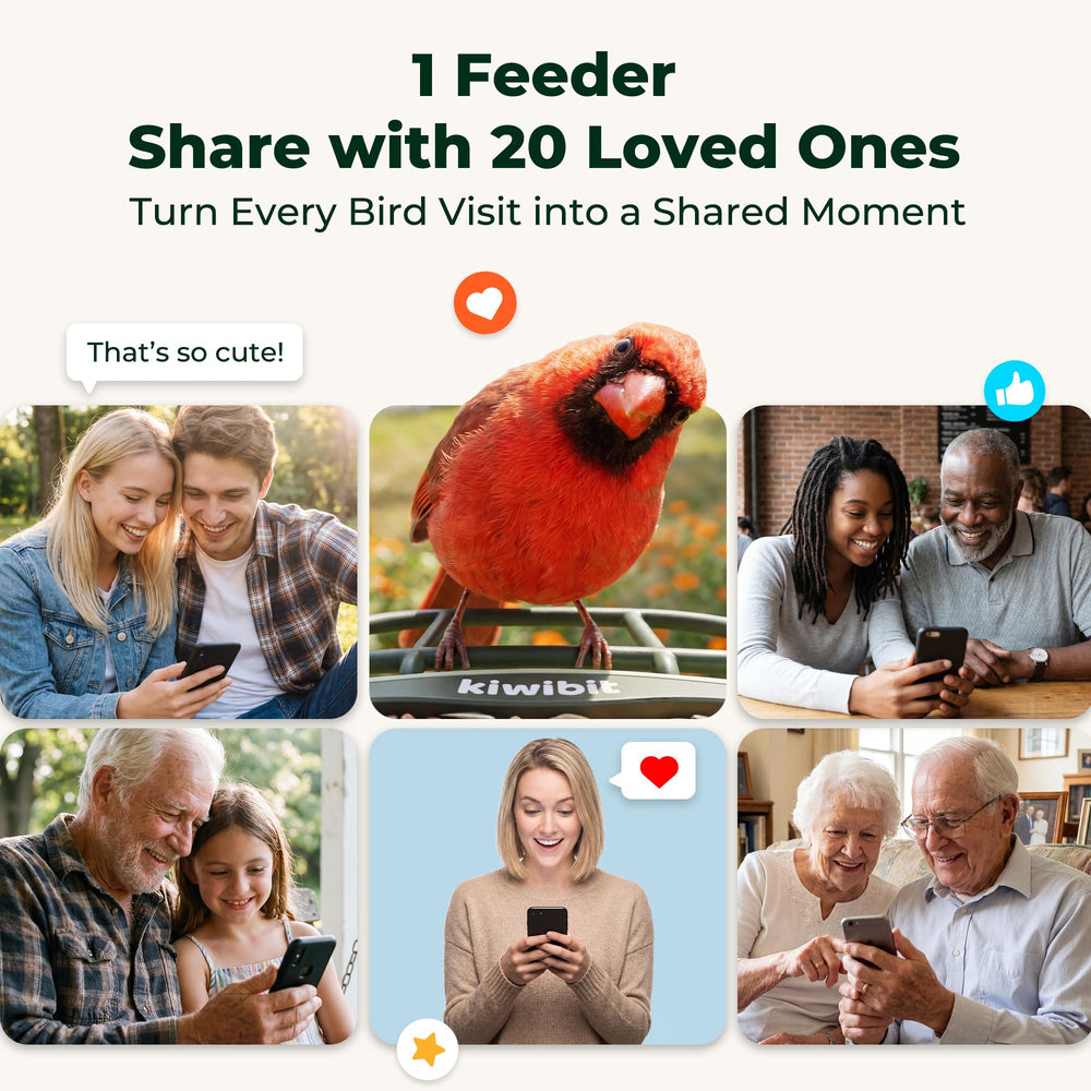 Kiwibit app live feed on phone showing remote viewing and alerts benefit