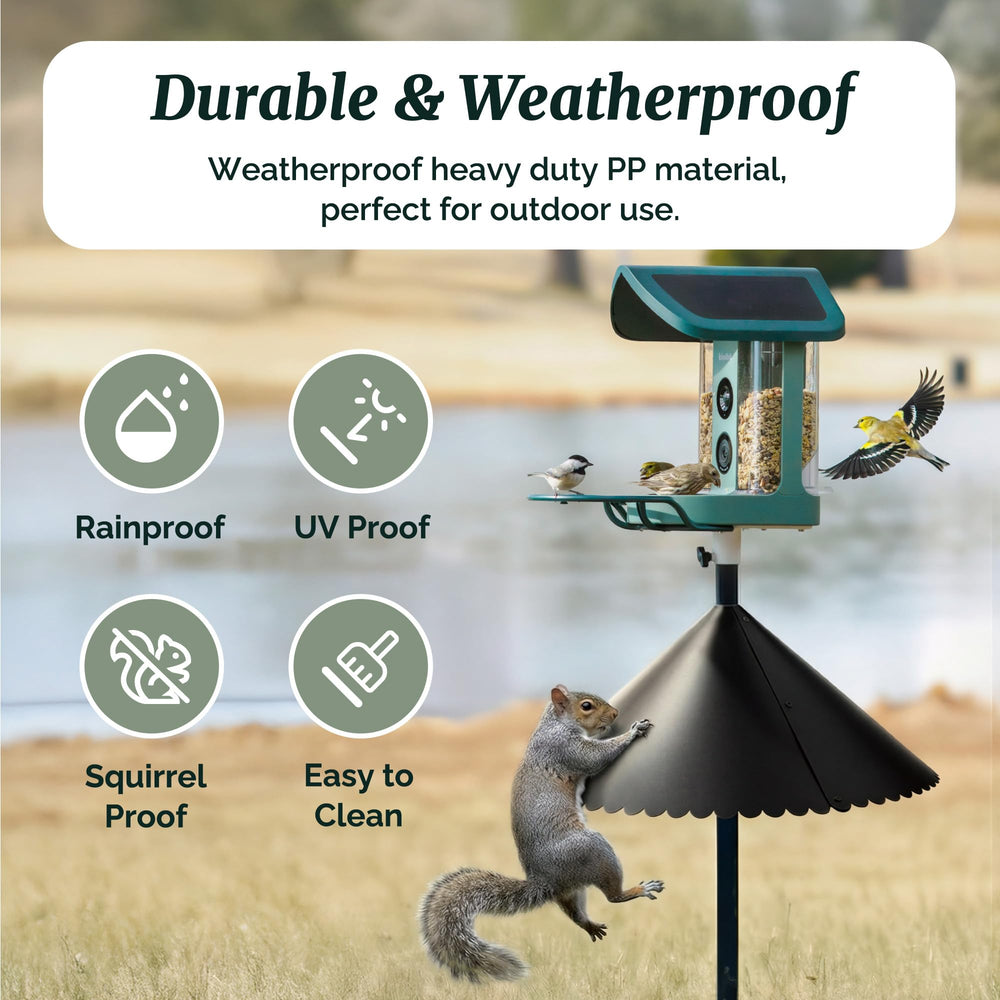 Kiwibit baffle mounted on shepherd hook in yard protecting feeders from squirrels