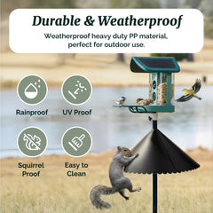 Kiwibit baffle mounted on shepherd hook in yard protecting feeders from squirrels