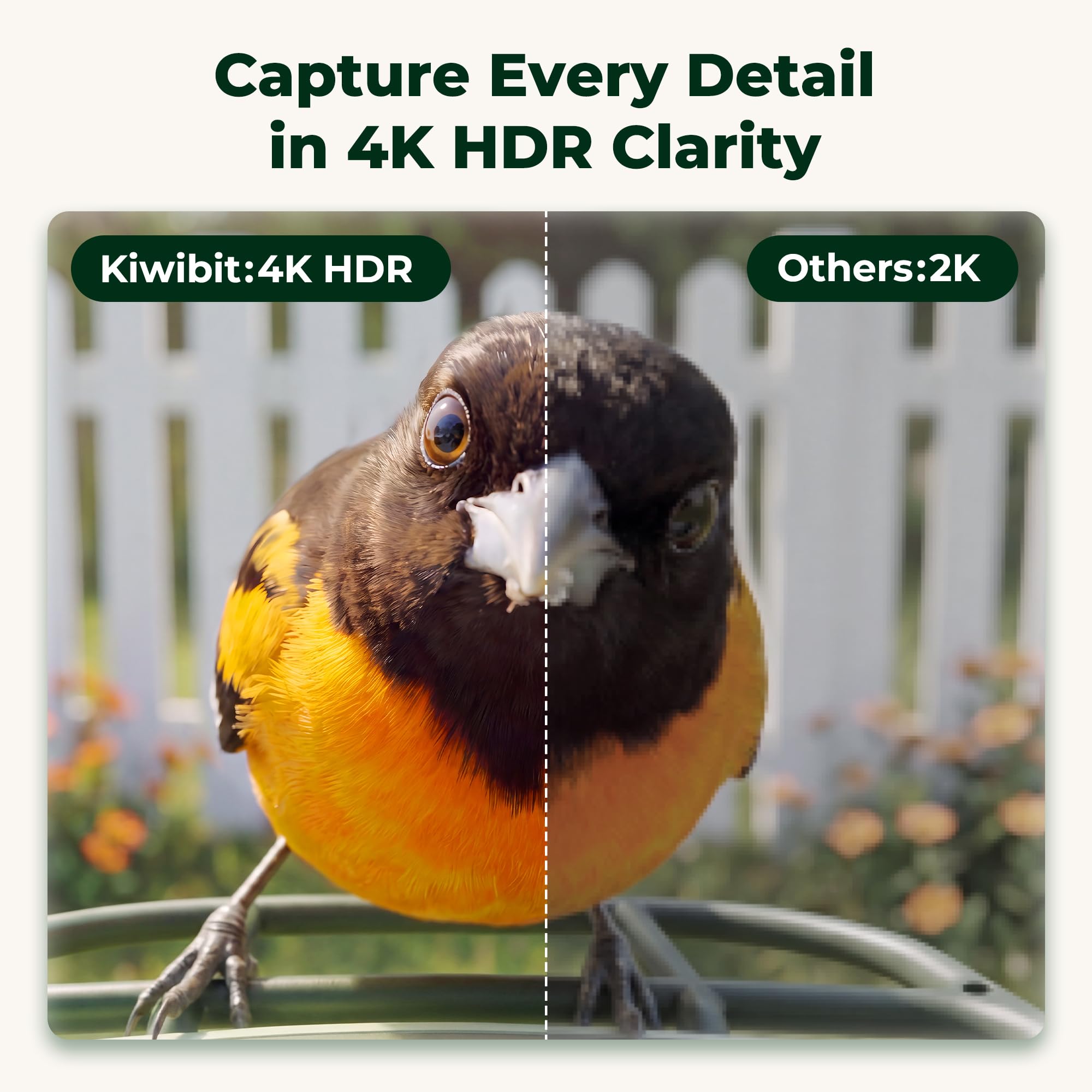 Kiwibit close-up of camera lens highlighting 4K detail capture benefit