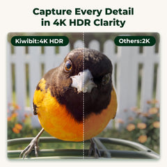 Kiwibit close-up of camera lens highlighting 4K detail capture benefit