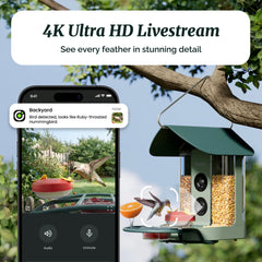 Kiwibit close-up of 4K camera lens capturing fine feather detail benefit
