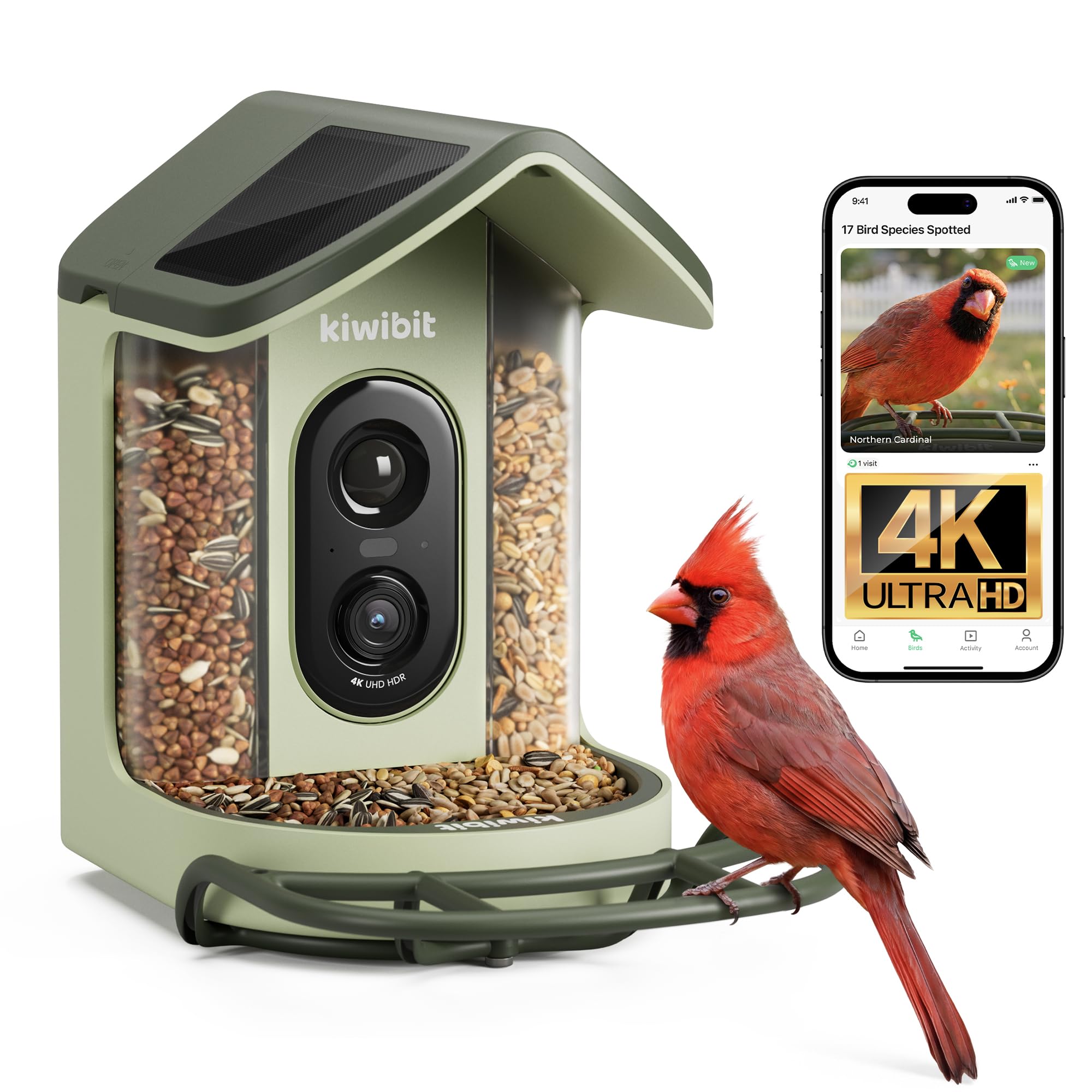 Kiwibit front view feeder with camera showing high-resolution streaming benefit