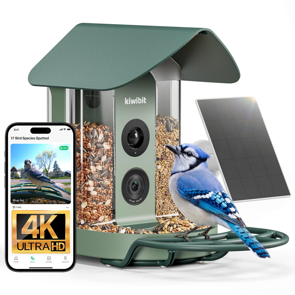 Kiwibit front view feeder showing camera and seed ports benefit clear livestreaming