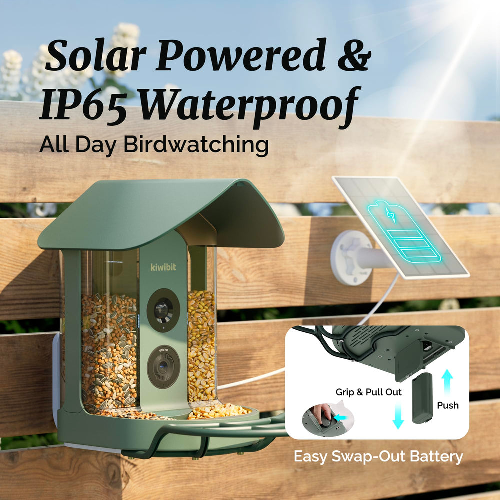Kiwibit fruit and jelly inserts displaying versatile feeding options for orioles benefit