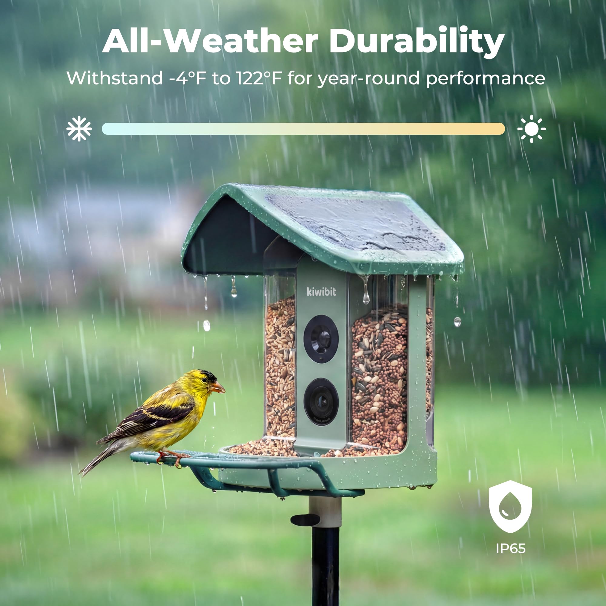 Kiwibit mounted on a tree in yard, easy outdoor installation benefit