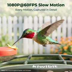 Kiwibit seed container and hopper illustrating easy refill and cleaning benefit