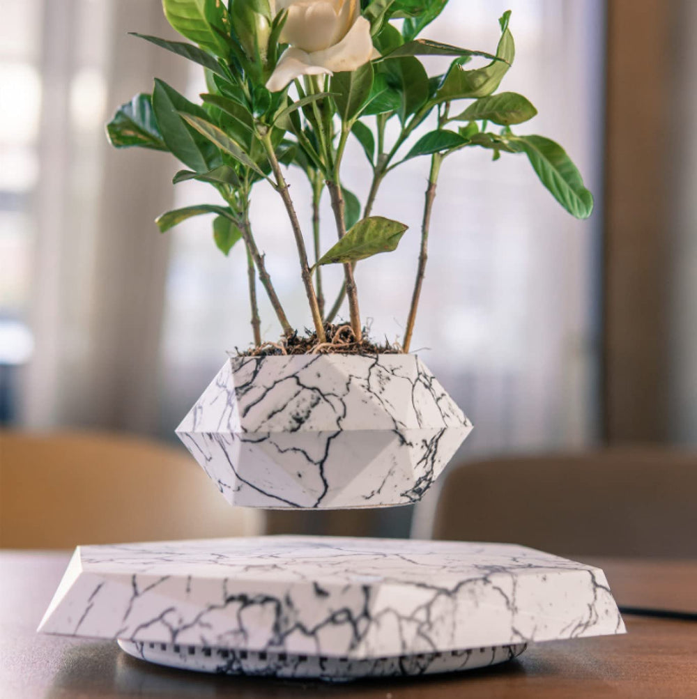 KIYOMING levitating plant suspended in air for eye-catching display