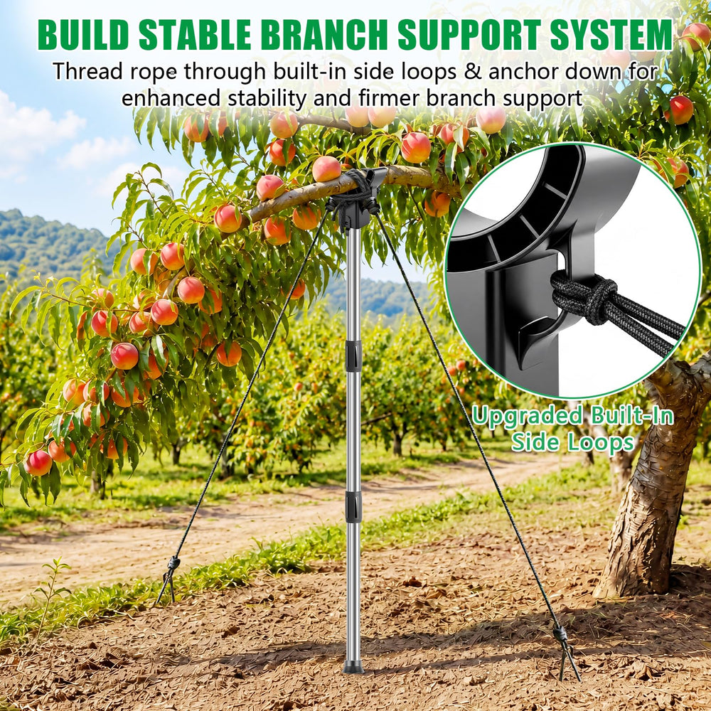 KJX assembled support under a fruit branch demonstrating load relief and stability