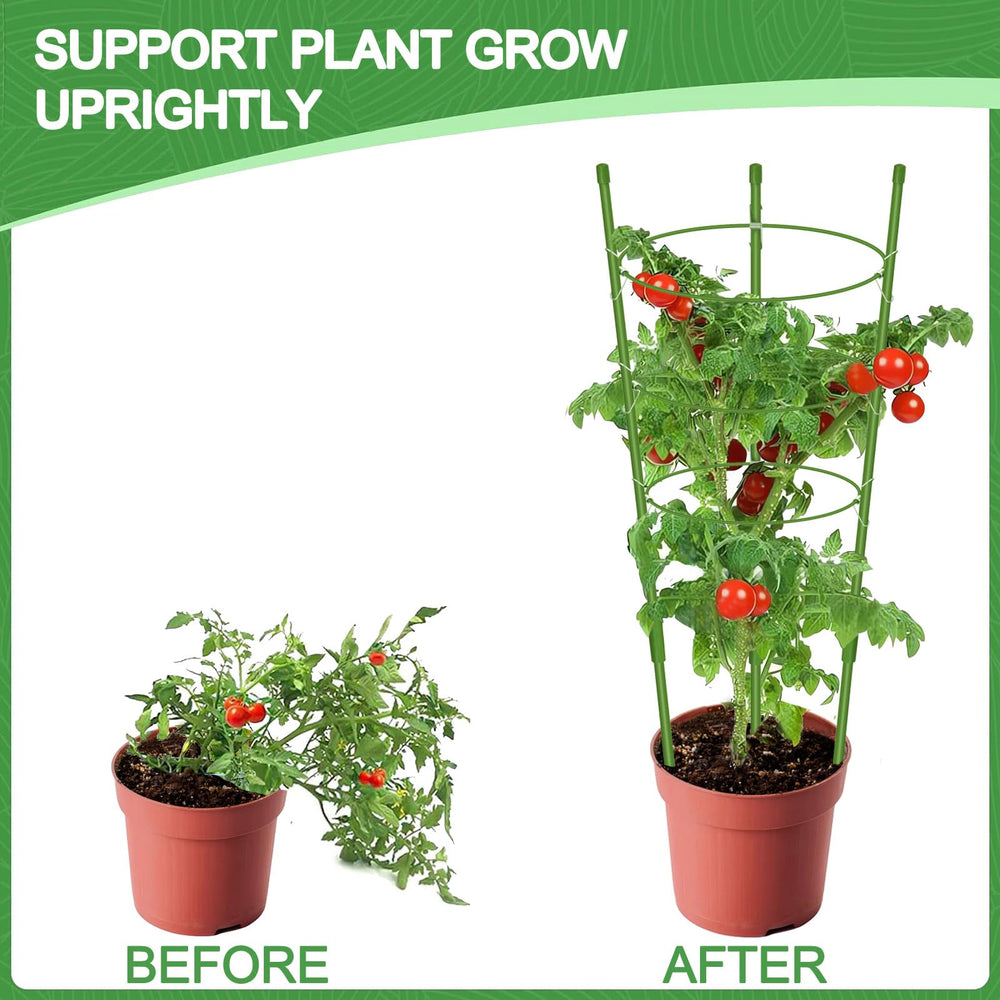 KLS tomato cage in a pot demonstrating size scale and neat container support