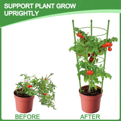 KLS tomato cage in a pot demonstrating size scale and neat container support