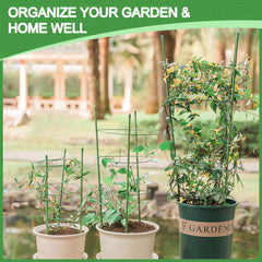 KLS plant cage with included clips and tie showing immediate stem management benefit