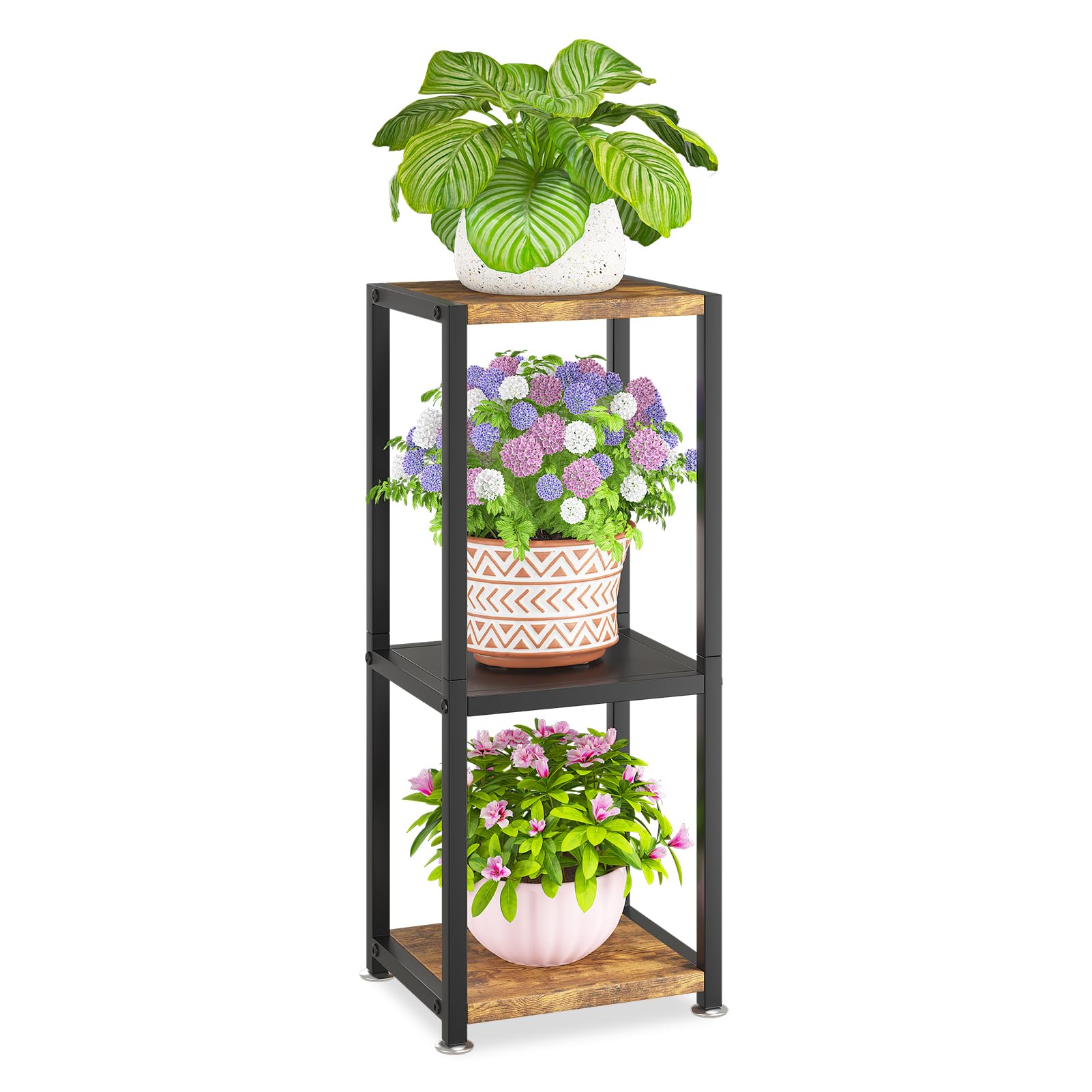KMOTASUO front full view showing three-tier display and stable frame for organized plants