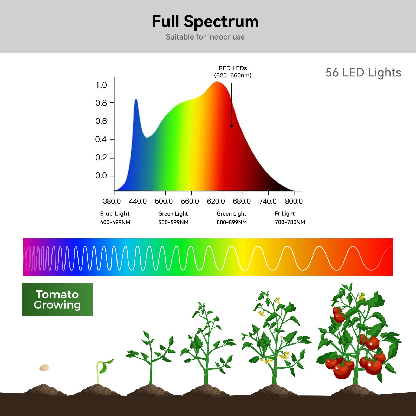 KNHUOS lifestyle desk setup with lights over succulents for healthier indoor display