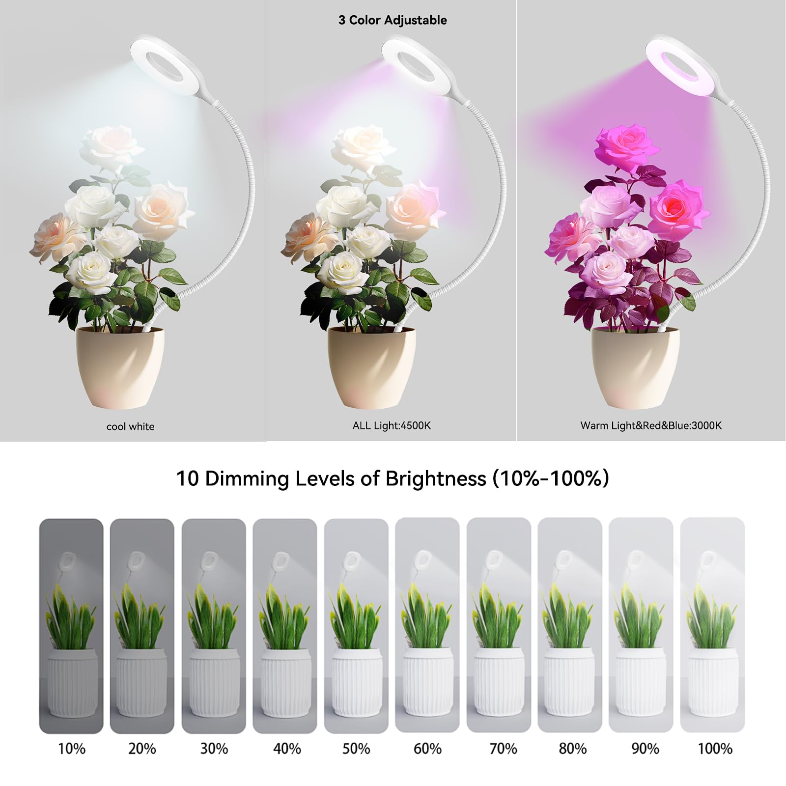 KNHUOS scale with common houseplant shows compact size and appropriate coverage benefit