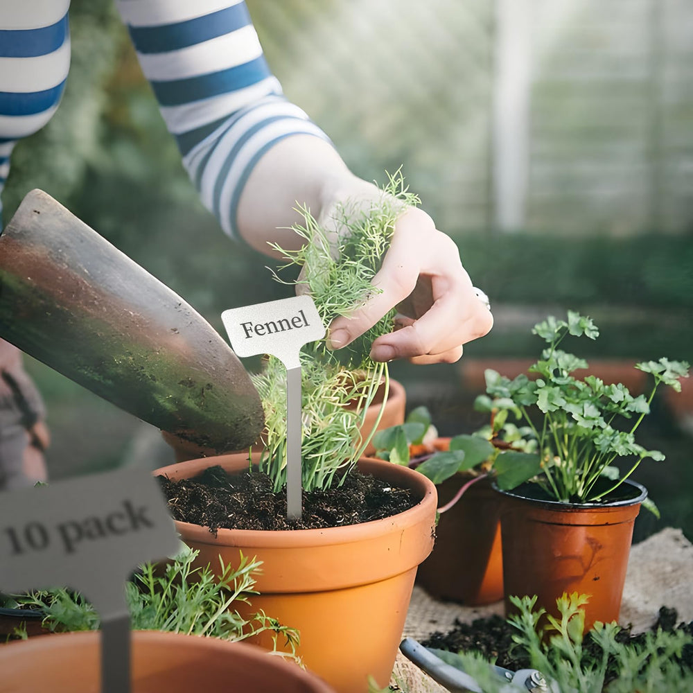 KNLLFolan labels placed in a garden bed improving plant identification and organization
