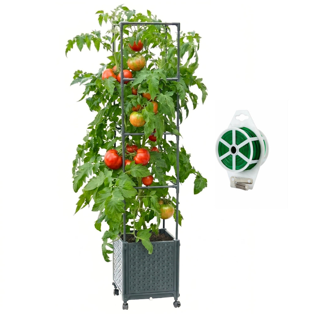 KOBAZ front view of planter with trellis showcasing stable vertical support