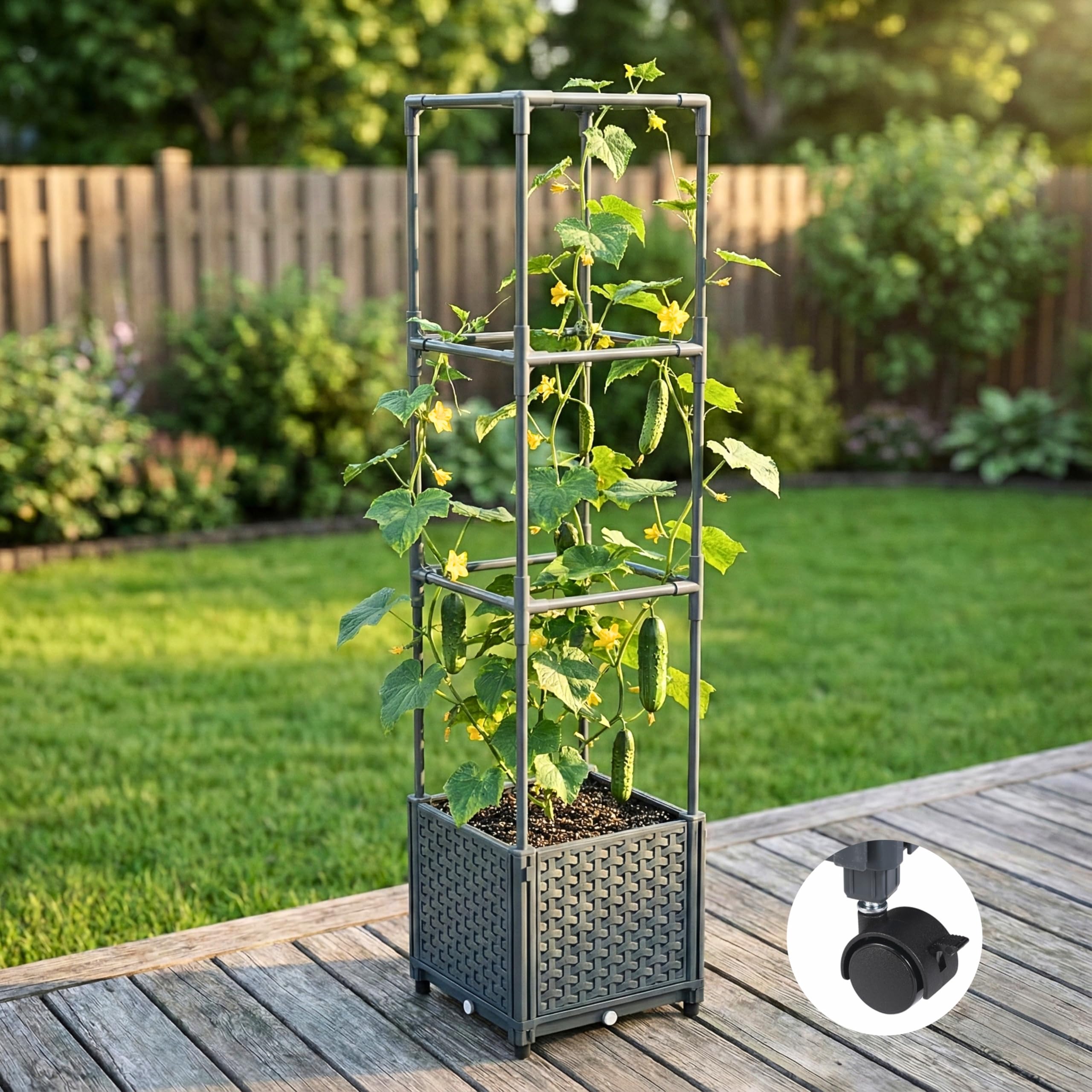 KOBAZ in-use with tomato plants climbing trellis to save space and improve airflow