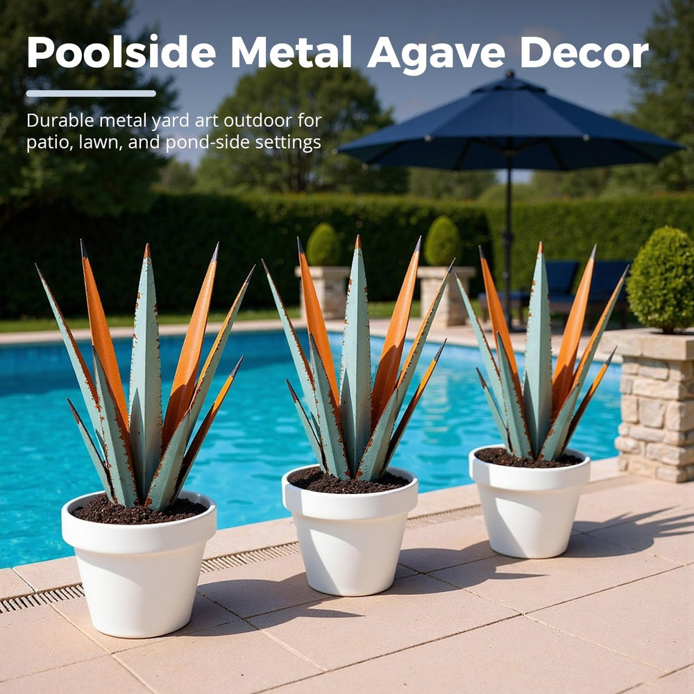 KODIBO agave styled indoors demonstrating versatility and decorative charm