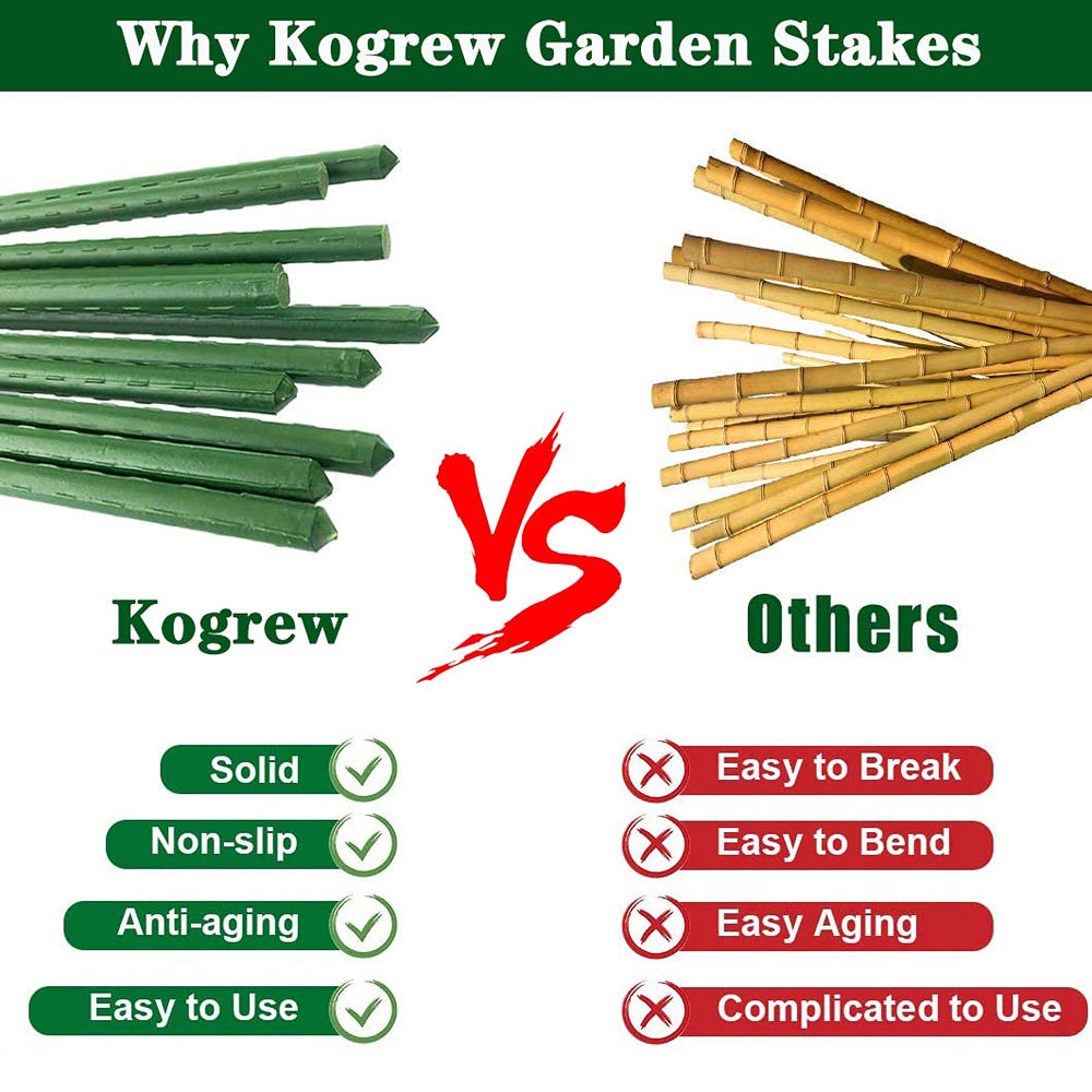 Kogrew stake installed in pot supporting tomato plant for tidy growth and easier harvesting