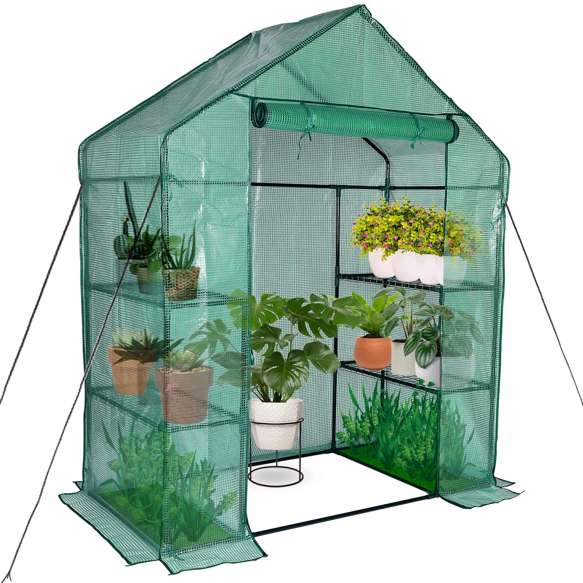 KOKSRY front view of walk-in greenhouse protecting plants