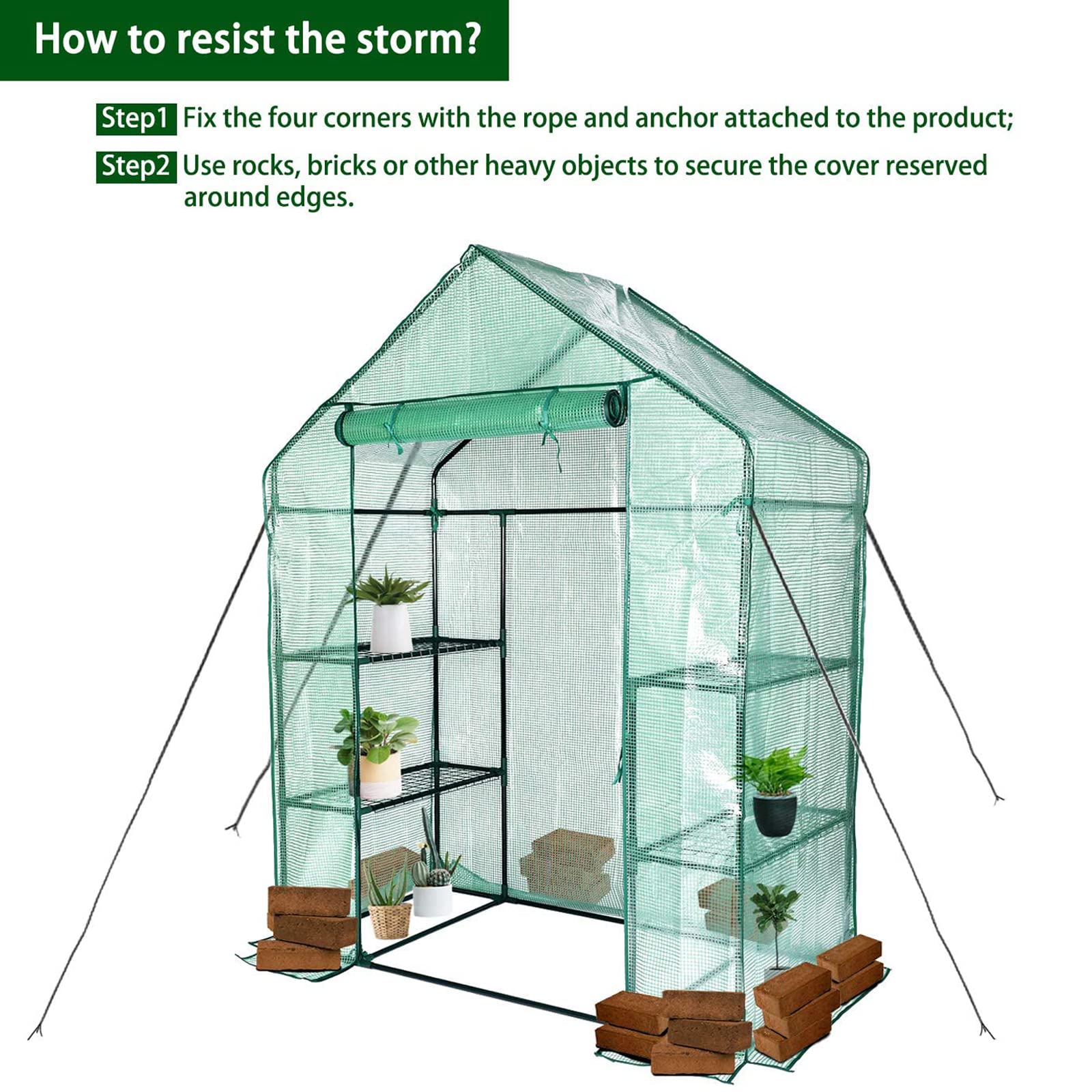 KOKSRY greenhouse staged on patio showing neat plant organization