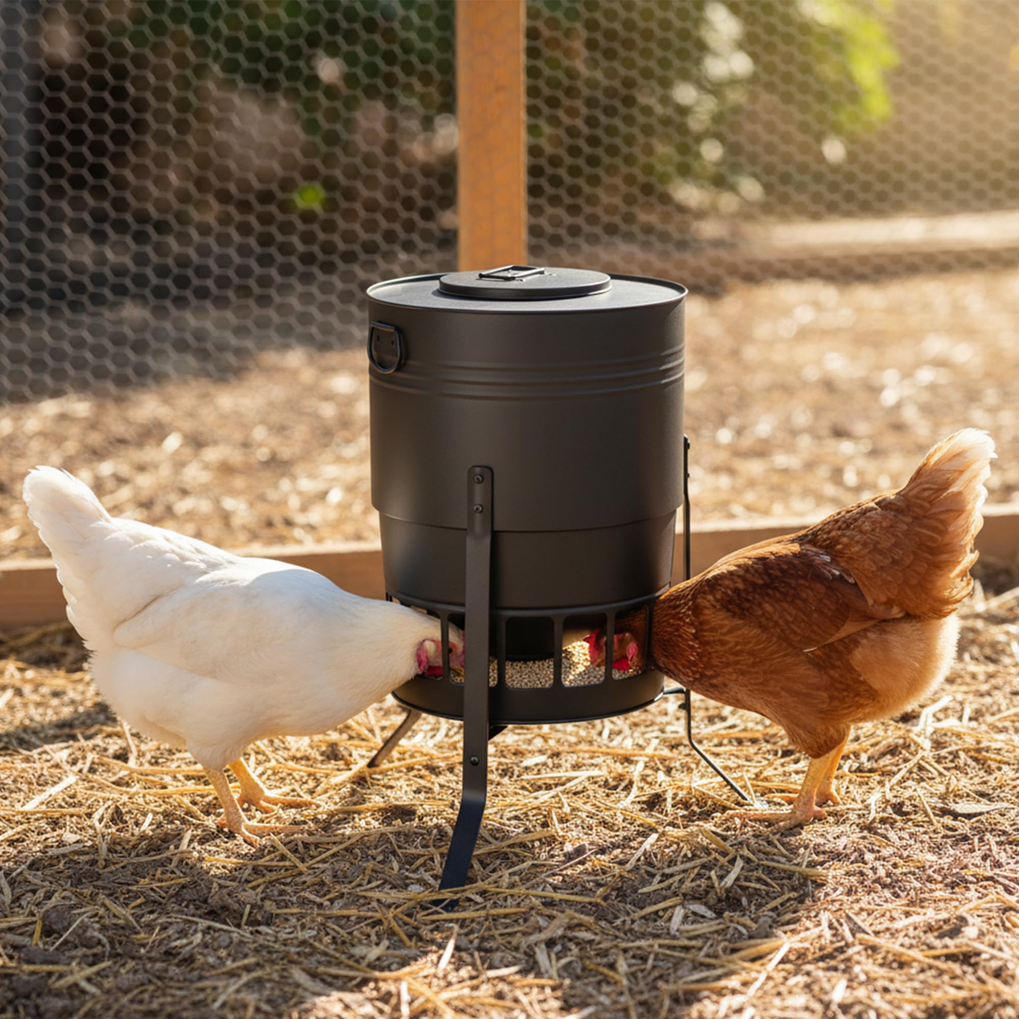 chicks feeding at KOL feeder ports, safe access and steady feed flow