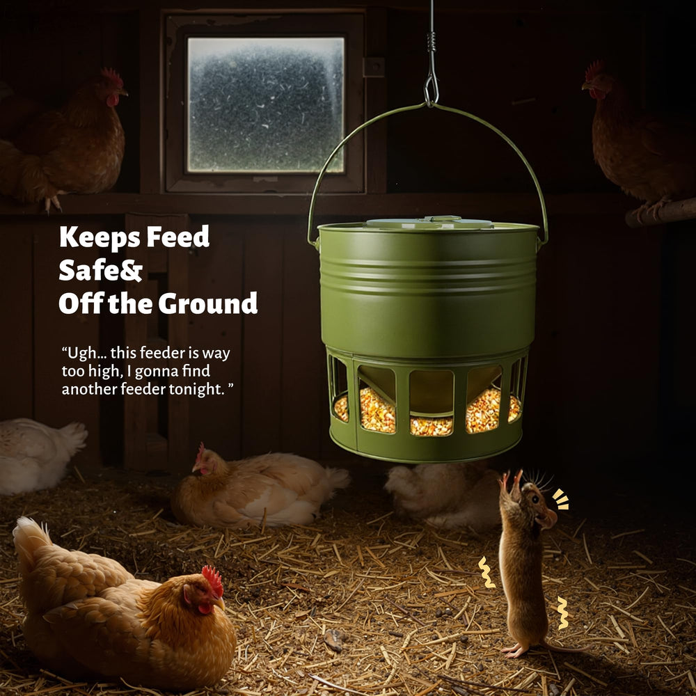 KOL feeder with several chickens eating at once demonstrating orderly feeding