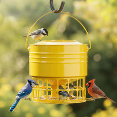 KOL front view of earthy yellow feeder showing durable build and inviting ports