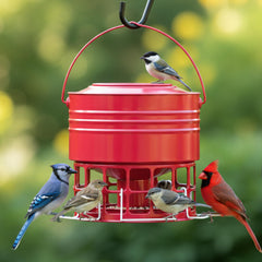 KOL front view of red metal bird feeder showing full 10lb capacity benefit