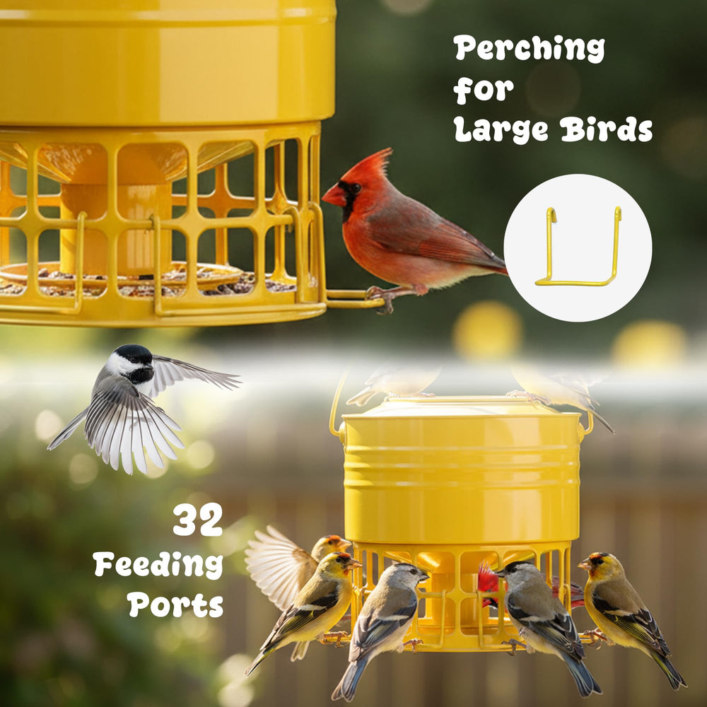 KOL multiple birds feeding from 32 ports enabling more birds to eat together