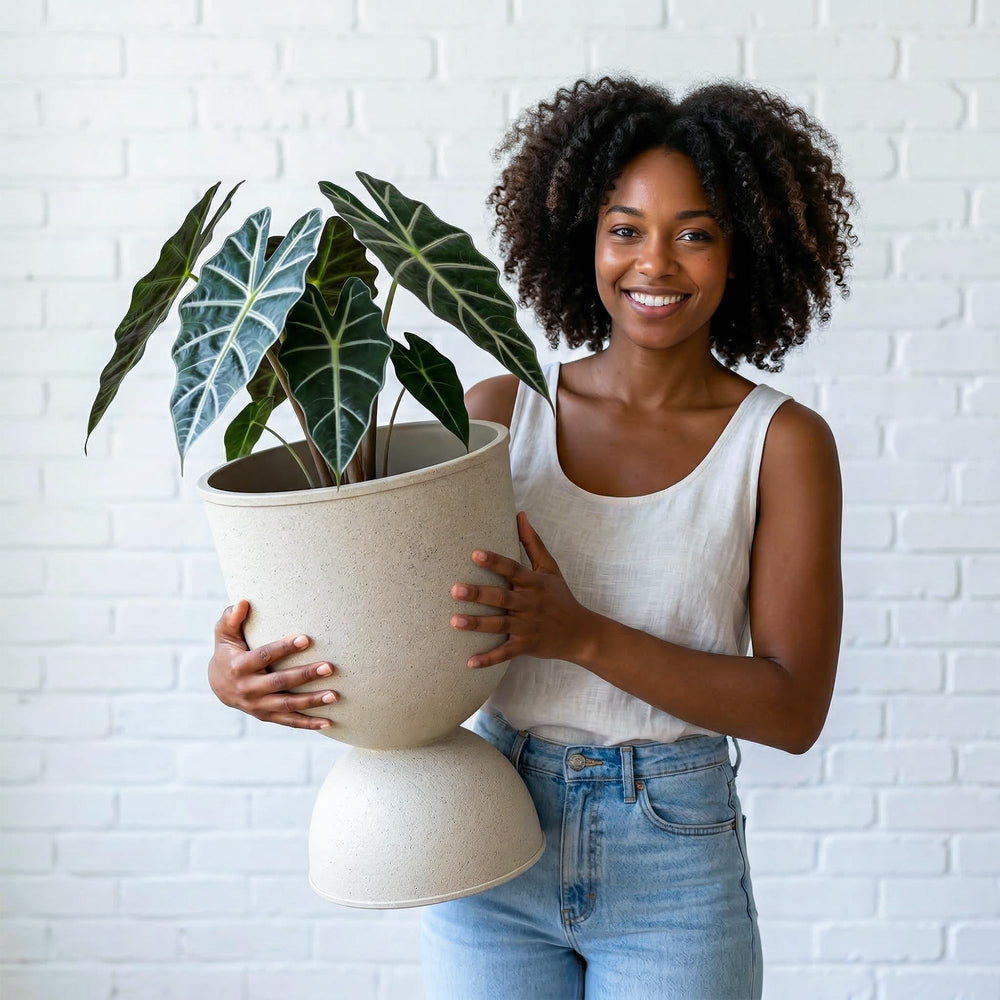 KOL planter displayed indoors with houseplants showing versatile decor use
