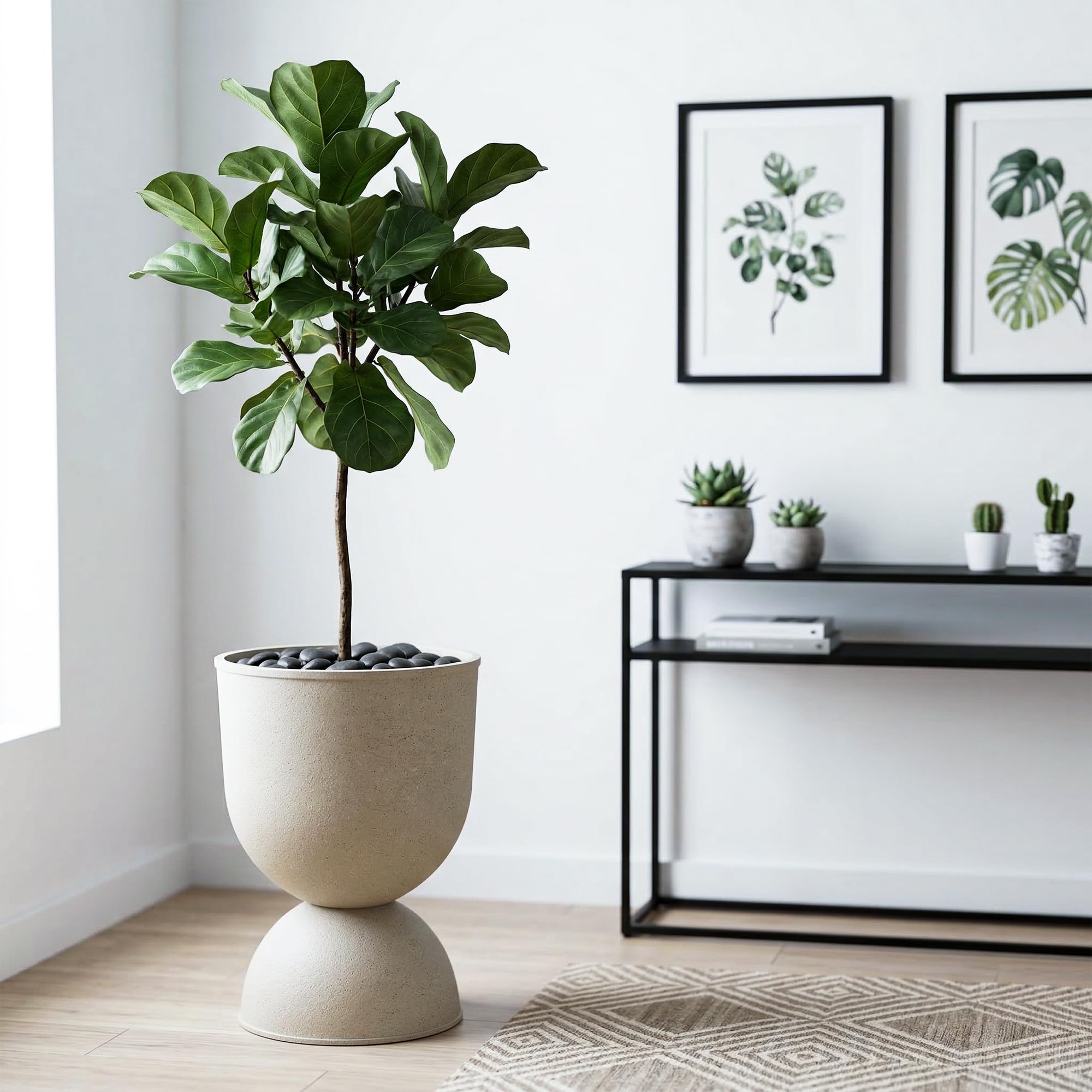 KOL boxed planter packaging showing compact shipping and ready-to-assemble benefit