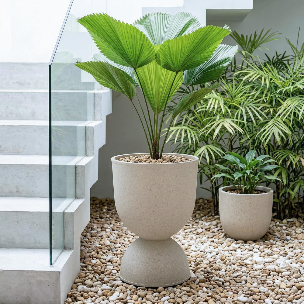 KOL planter beside doorway showing scale and strong entryway presence