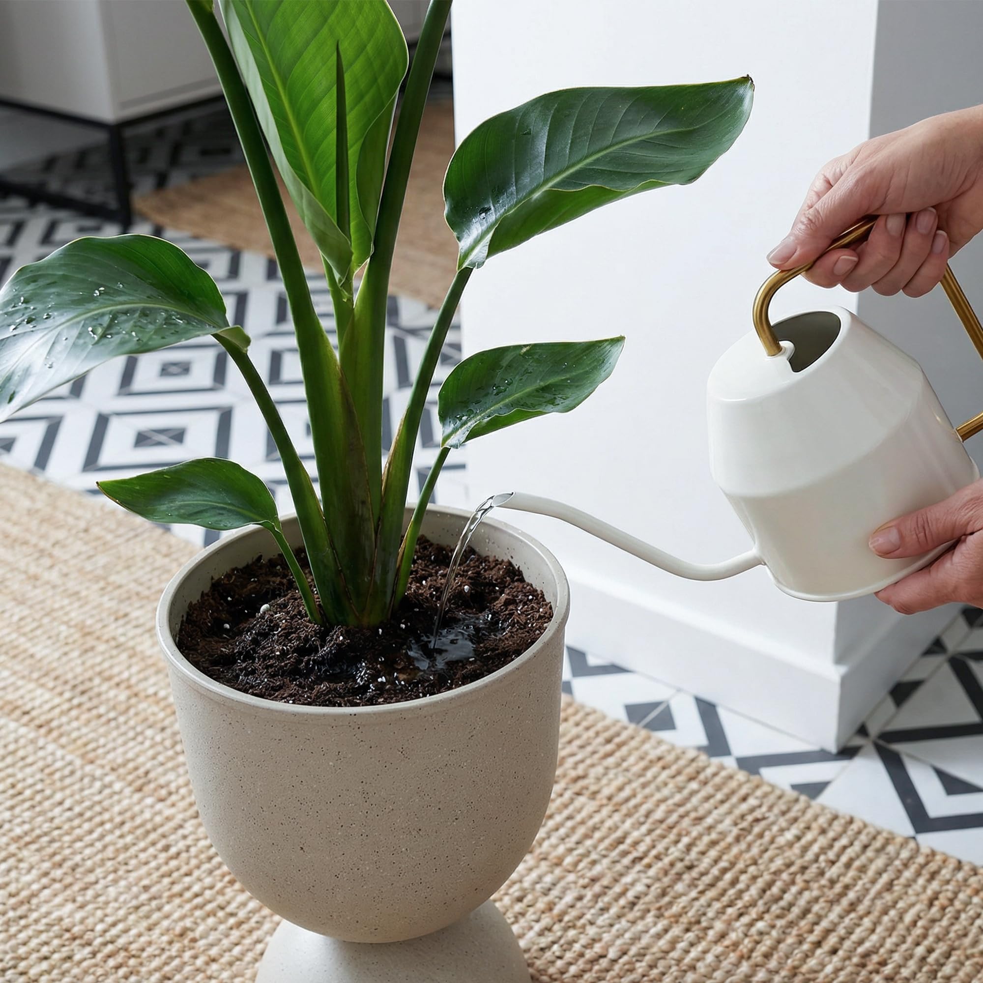KOL planter filled with flowers showing decorative display potential