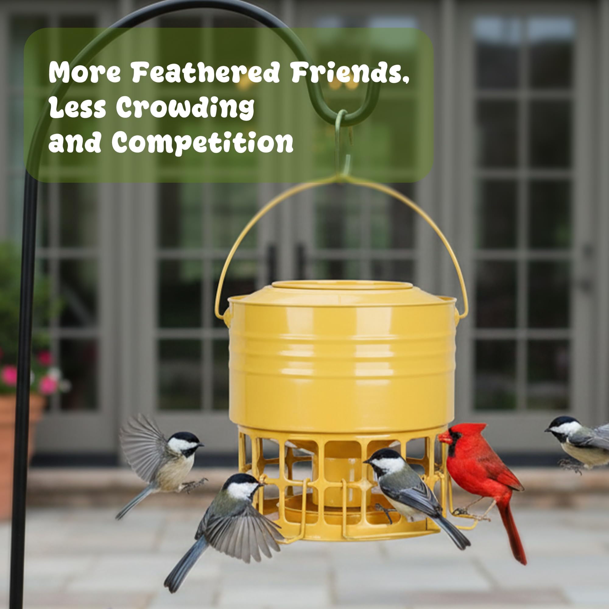 KOL three sturdy perches supporting larger birds like cardinals comfortably