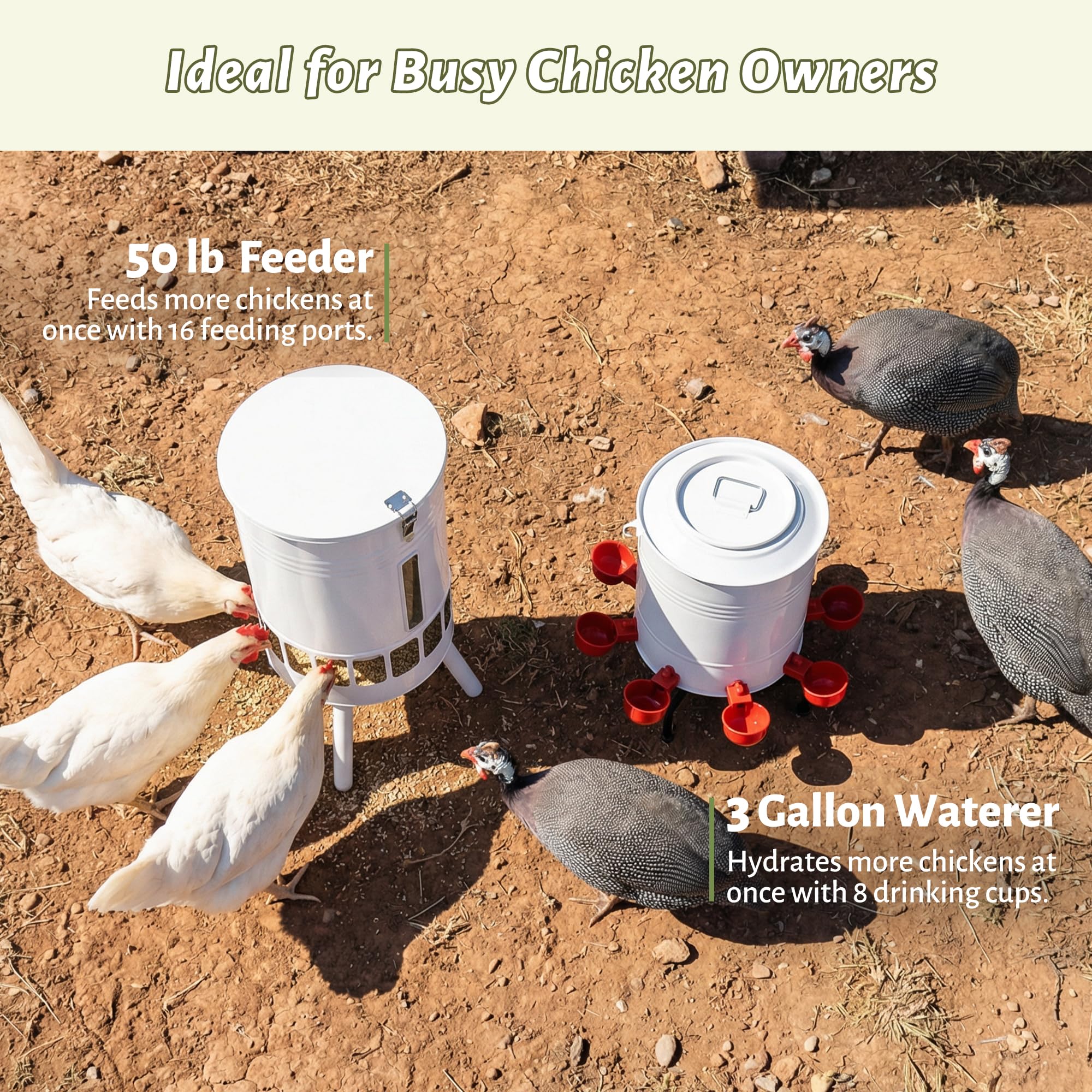 KOL close-up of waterer tilting cup demonstrating clean water access