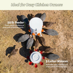 KOL waterer valve cup detail demonstrating automatic refill and clean water
